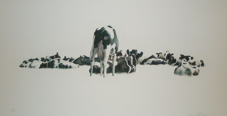 Probleem bij het laden van de afbeelding