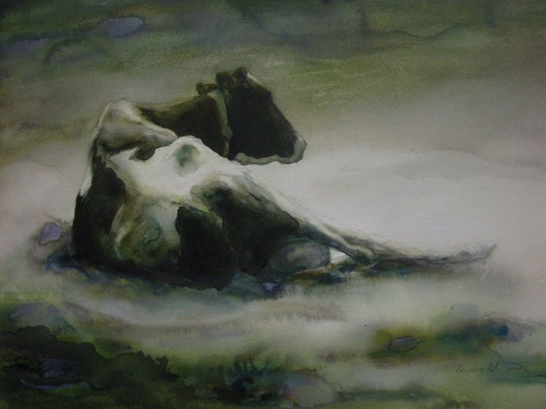 Probleem bij het laden van de afbeelding