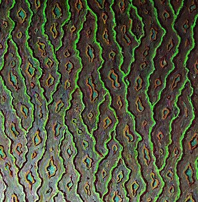 Probleem bij het laden van de afbeelding