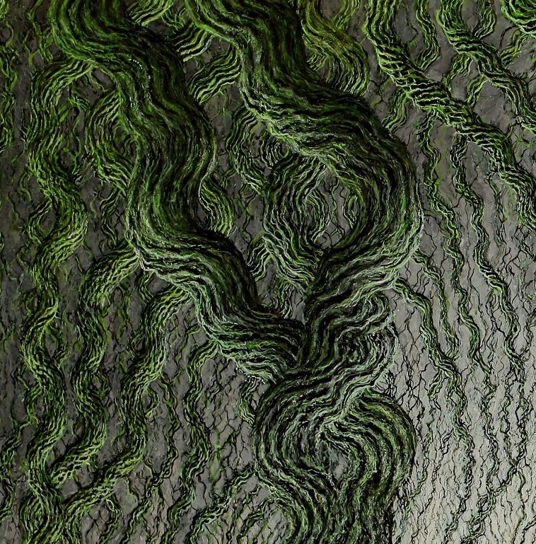 Probleem bij het laden van de afbeelding