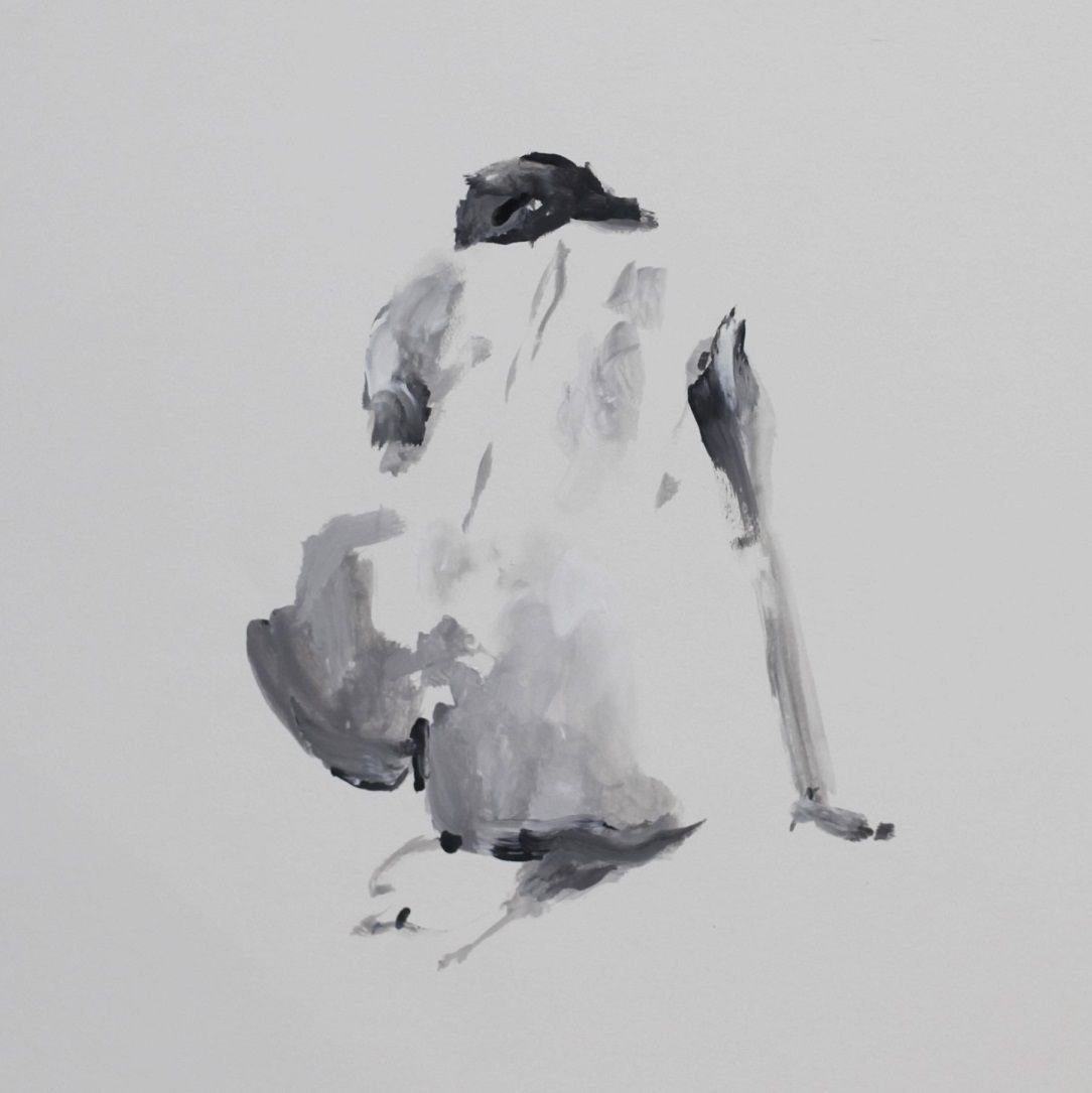 Probleem bij het laden van de afbeelding