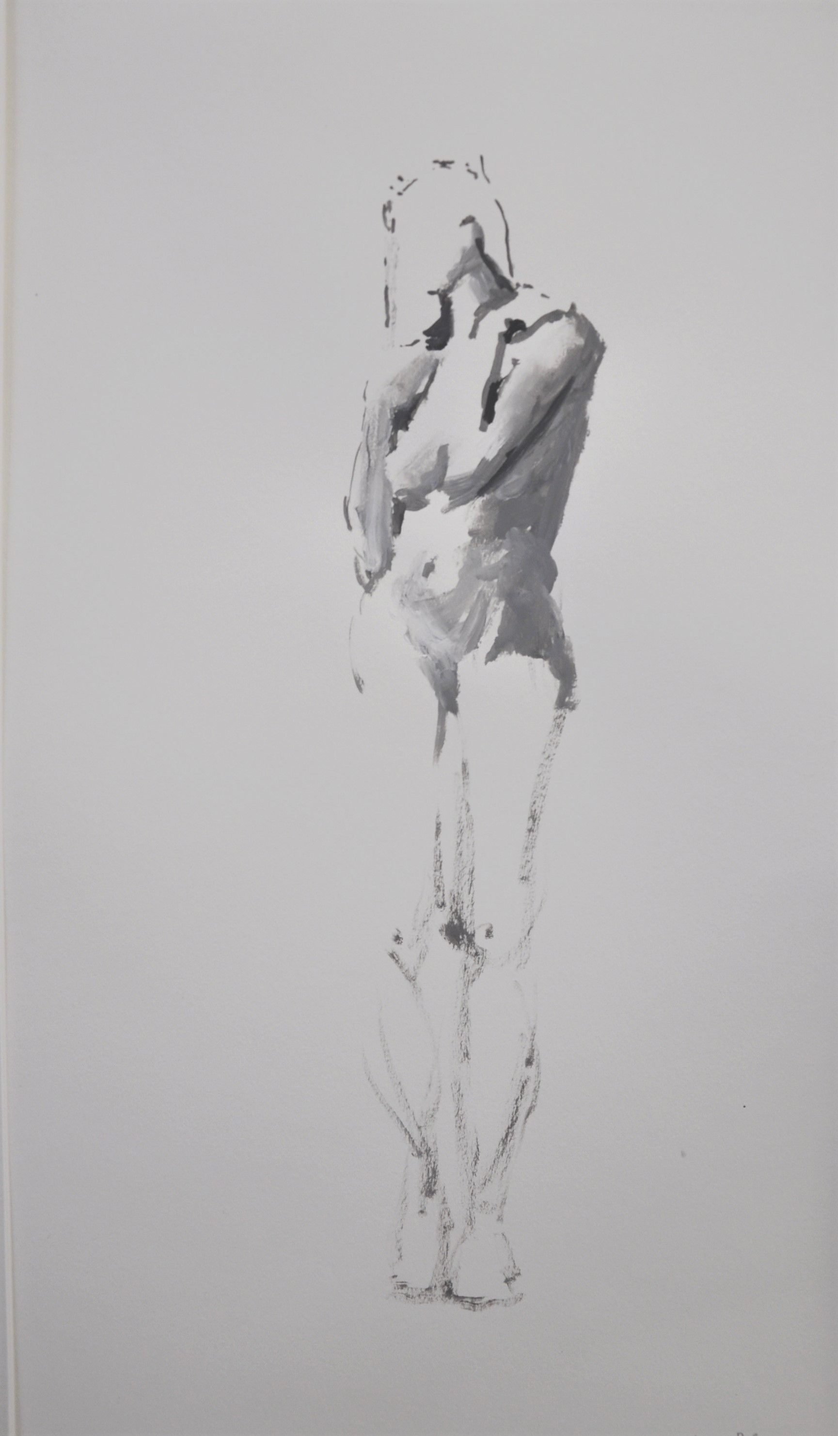 Probleem bij het laden van de afbeelding