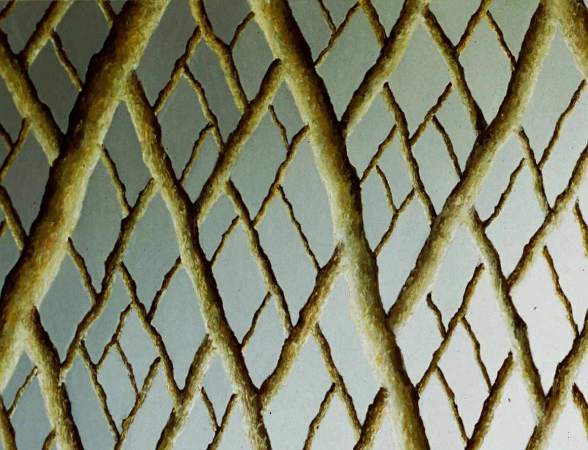 Probleem bij het laden van de afbeelding