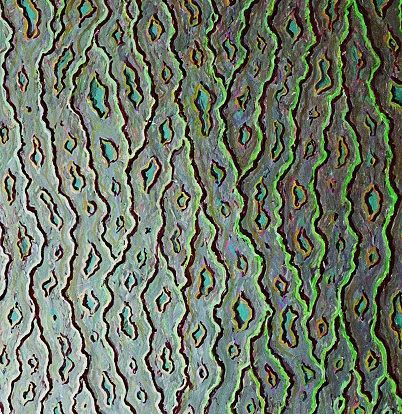 Probleem bij het laden van de afbeelding