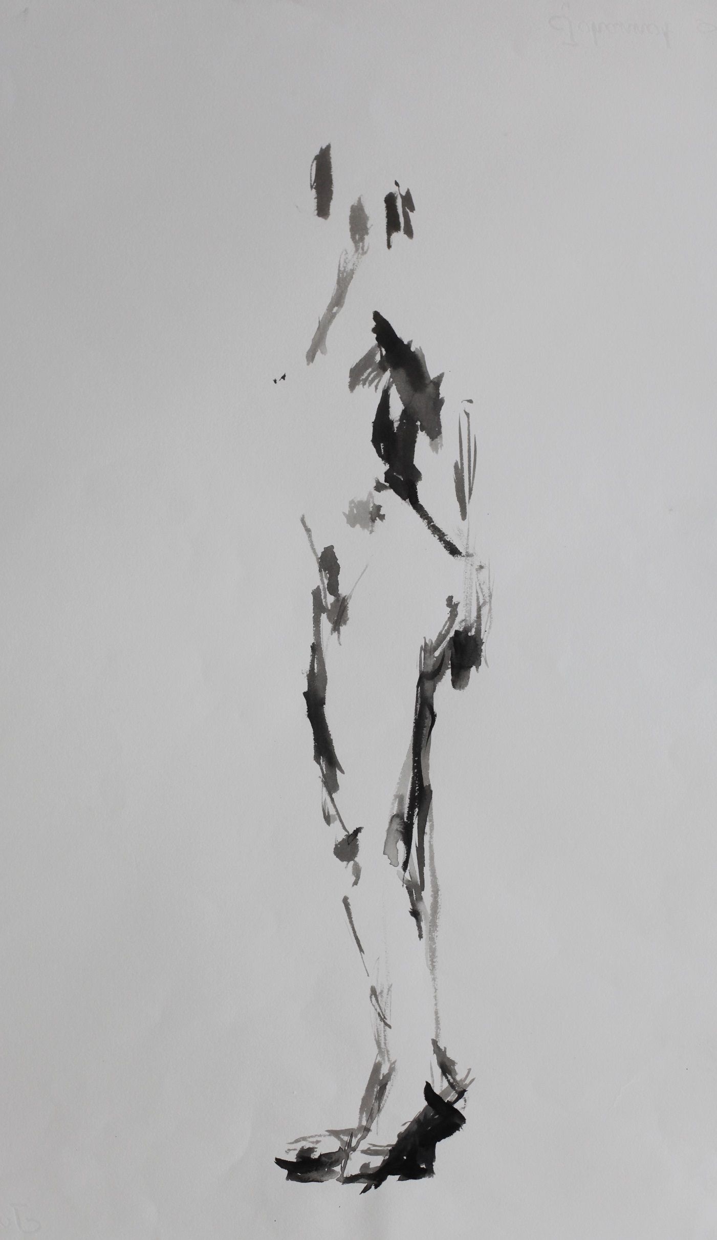 Probleem bij het laden van de afbeelding